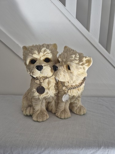 Pair west highland terrier - west,